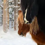 Kotatuli Forest Εξοχικό σπίτι Ροβανιέμι