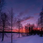 Kotatuli Forest Rovaniemi