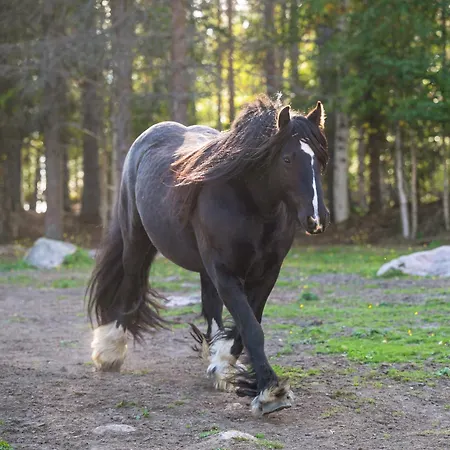 Kotatuli Forest Séjour à la campagne Rovaniemi