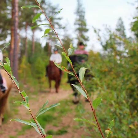 Kotatuli Forest *