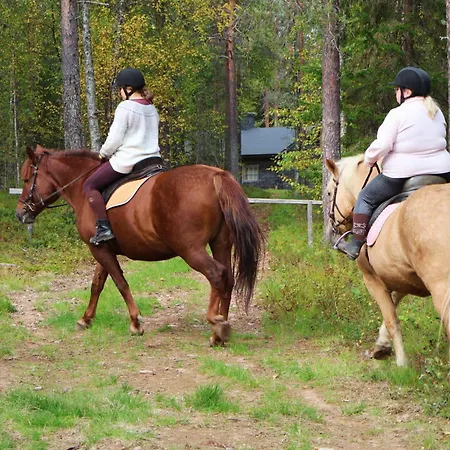 Kotatuli Forest Летний дом *
