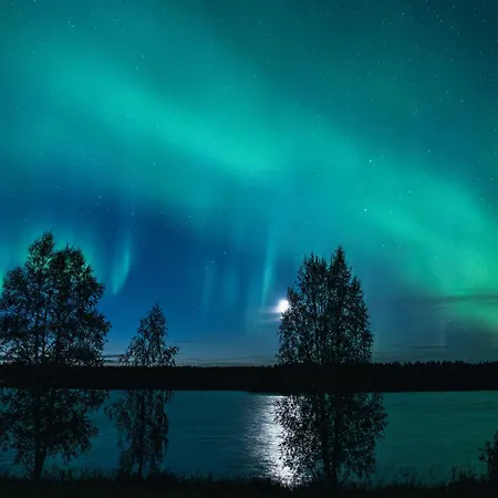 Летний дом Kotatuli Forest