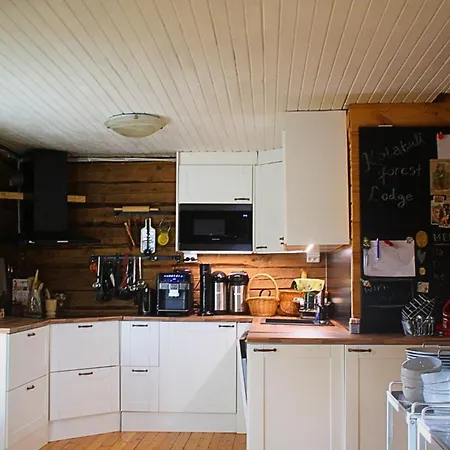 Kotatuli Forest Rovaniemi