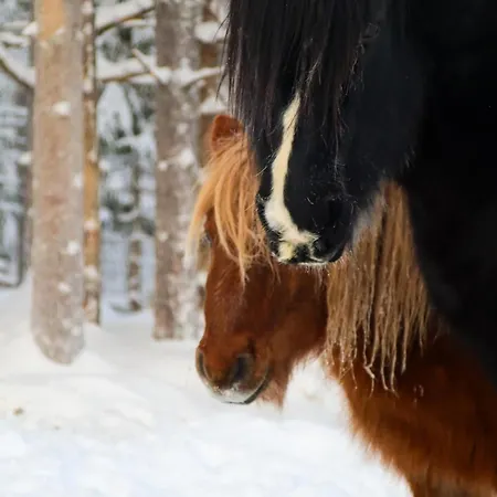 Kotatuli Forest Maalaistalot Rovaniemi