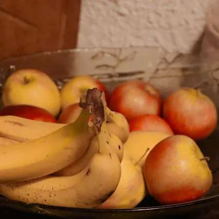 Летний дом Kotatuli Forest