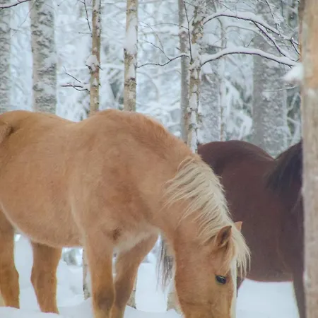 Kotatuli Forest Maalaistalot *