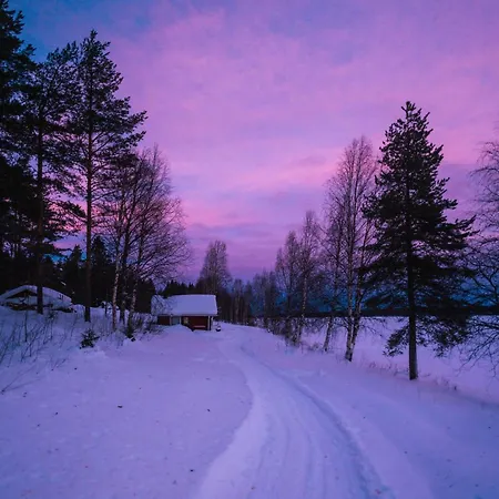 Kotatuli Forest