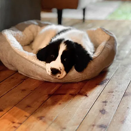 Séjour à la campagne Kotatuli Forest