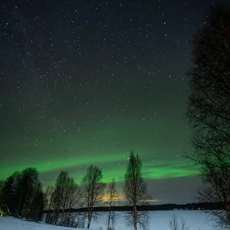 Летний дом Kotatuli Forest