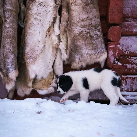 Летний дом Kotatuli Forest *