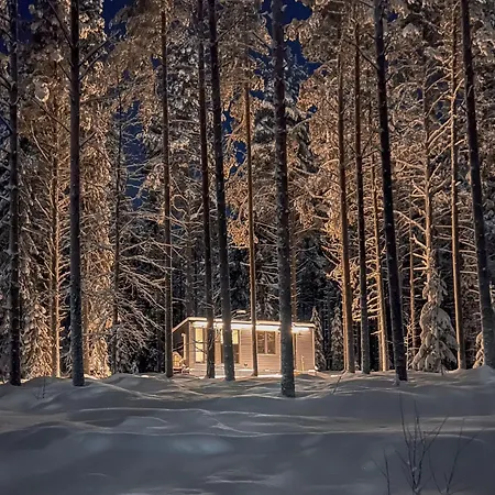 Kotatuli Forest Летний дом Рованиеми