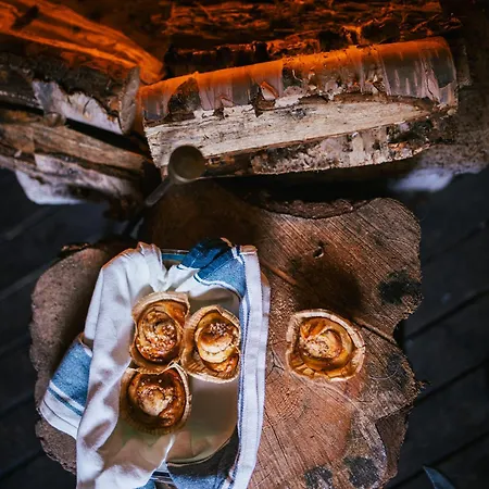 Lantställe Kotatuli Forest Rovaniemi