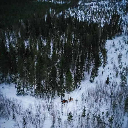 Kotatuli Forest 罗瓦涅米
