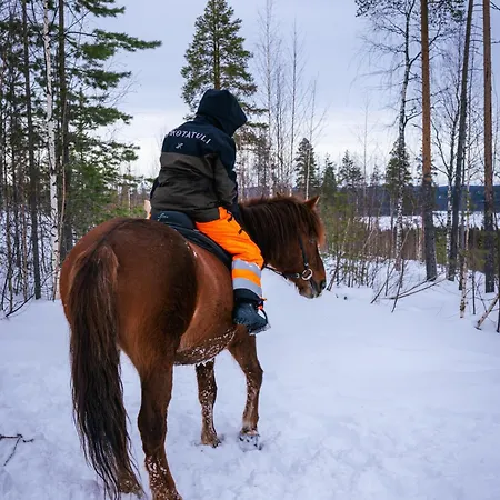 Gospodarstwo wiejskie Kotatuli Forest