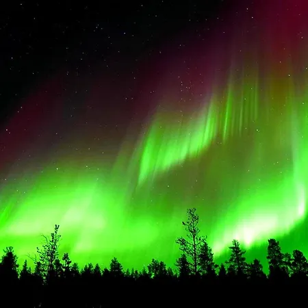 Летний дом Kotatuli Forest *