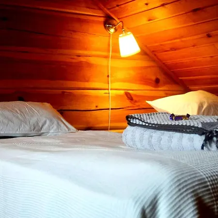 Kotatuli Forest Летний дом