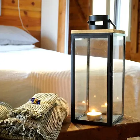 Летний дом Kotatuli Forest *