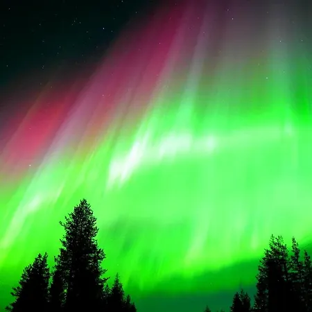 Kotatuli Forest * Рованиеми