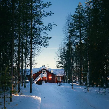 Kotatuli Forest