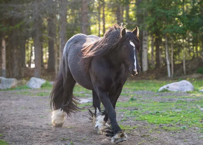 Kotatuli Forest 컨트리하우스 로바니에미
