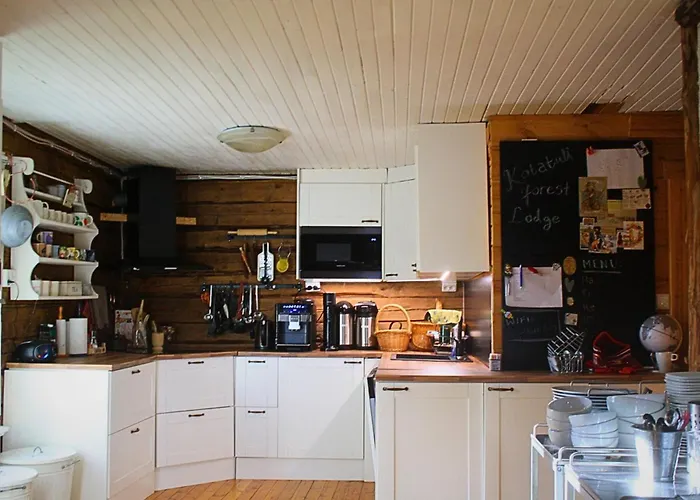 Kotatuli Forest 로바니에미