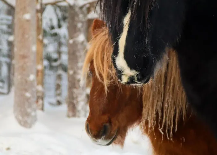 Kotatuli Forest 컨트리하우스 로바니에미