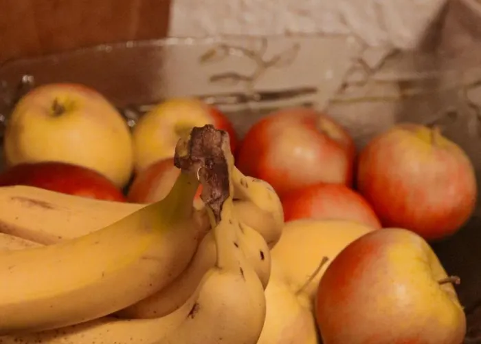 컨트리하우스 Kotatuli Forest