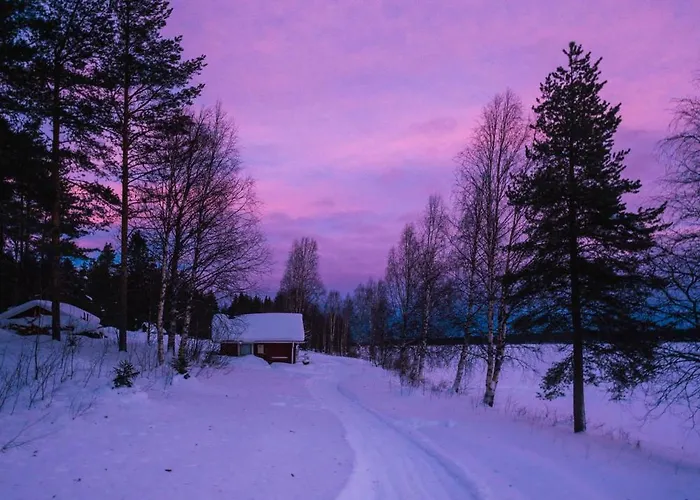 Kotatuli Forest