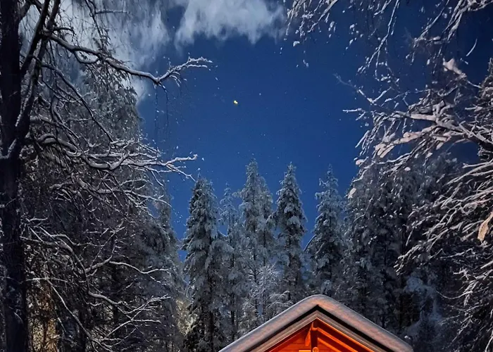 Kotatuli Forest 컨트리하우스