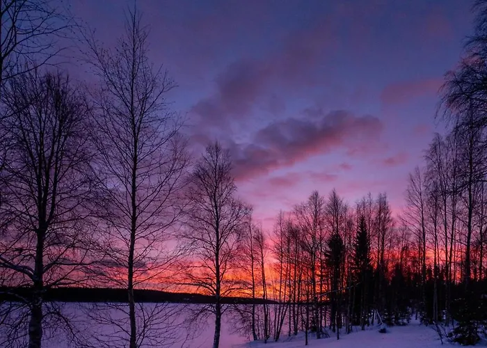 Kotatuli Forest 로바니에미