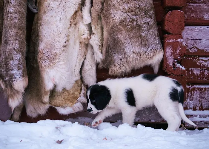 컨트리하우스 Kotatuli Forest *