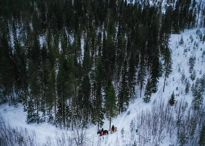 Kotatuli Forest 로바니에미