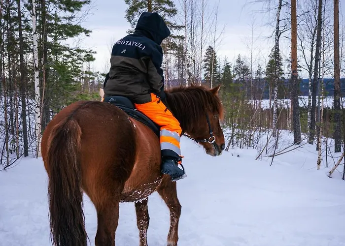 컨트리하우스 Kotatuli Forest