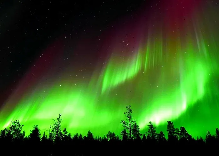 컨트리하우스 Kotatuli Forest *