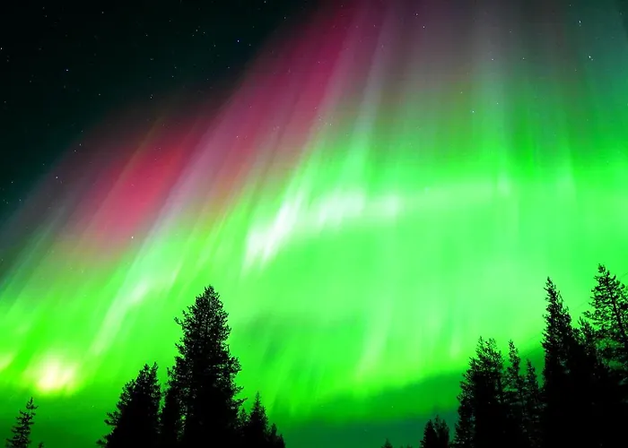 Kotatuli Forest * 로바니에미