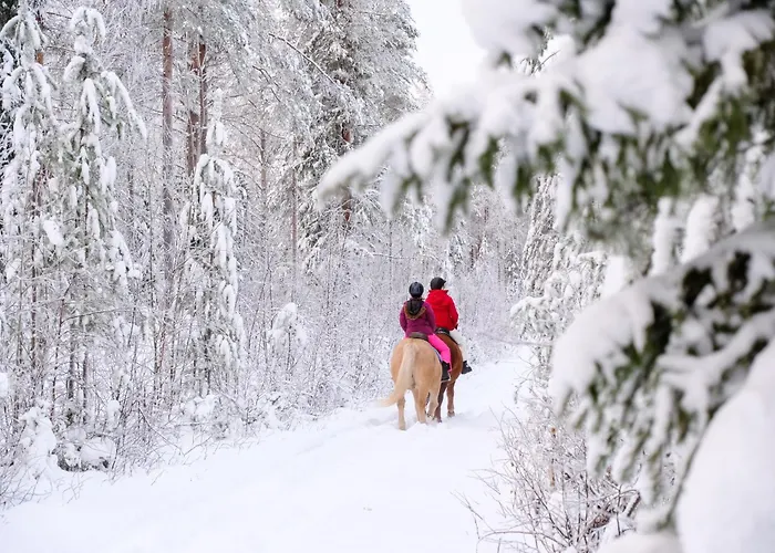 Kotatuli Forest 컨트리하우스